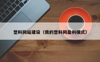 邵阳塑料网站建设（我的塑料网盈利模式）